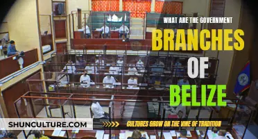 Belize's Government Branches: Understanding the Trifecta