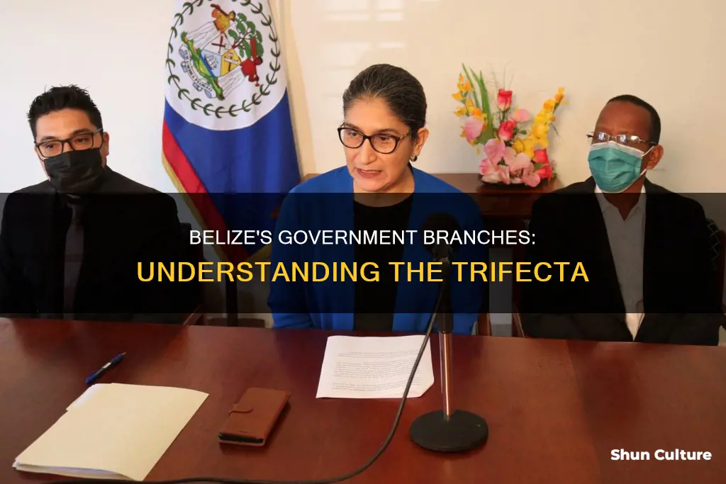 what are the government branches of belize