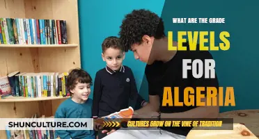 Understanding Algeria's Education System: Grade Levels Explained