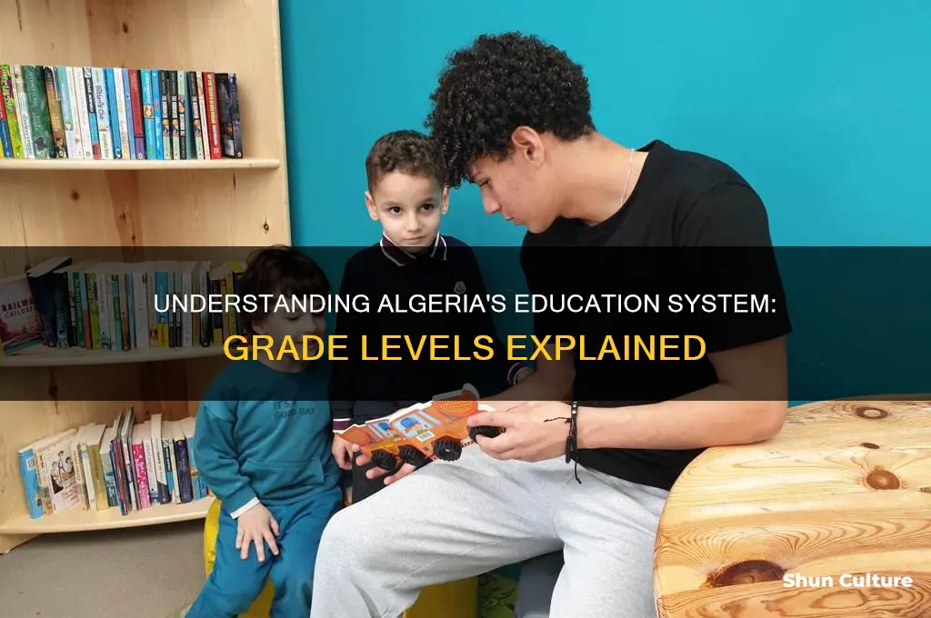 what are the grade levels for algeria