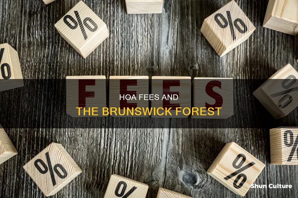 what are the hoa fees at brunswick forest