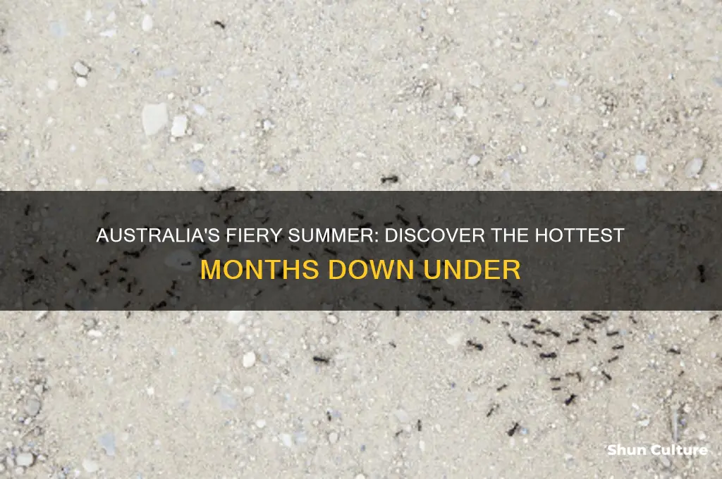 what are the hottest months of the year in australia
