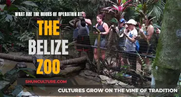 Belize Zoo Hours: A Comprehensive Guide