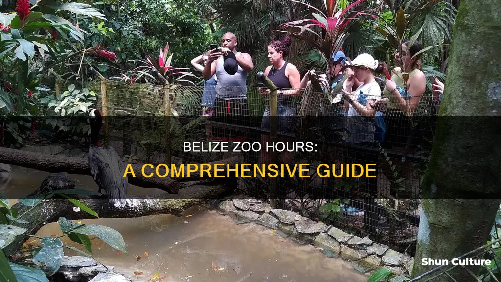 what are the hours of operation at the belize zoo