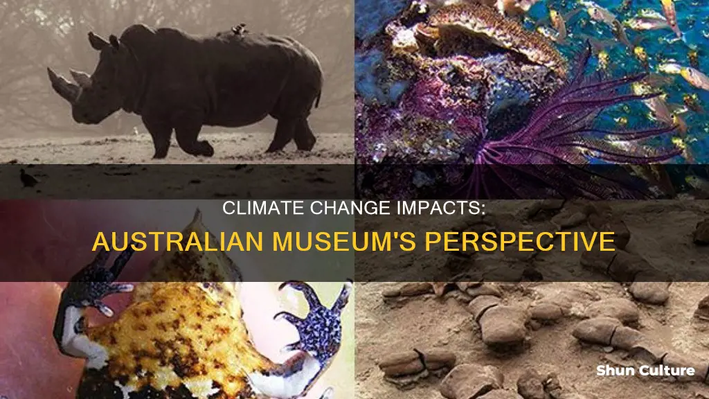 what are the impacts of climate change australian museum