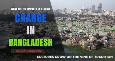 Climate Change in Bangladesh: Devastating Impacts and Urgent Solutions Needed