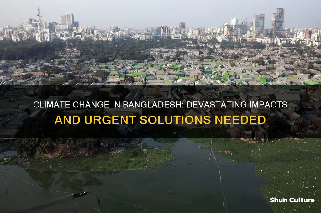 what are the impacts of climate change in bangladesh