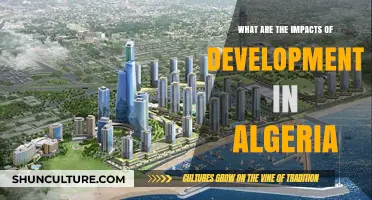 Algeria's Development: Economic, Social, and Environmental Impacts Explored