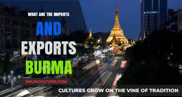 Exploring Myanmar's Trade Dynamics: Imports and Exports Overview