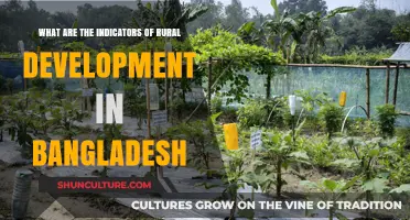 Key Indicators of Rural Development in Bangladesh: Progress and Challenges
