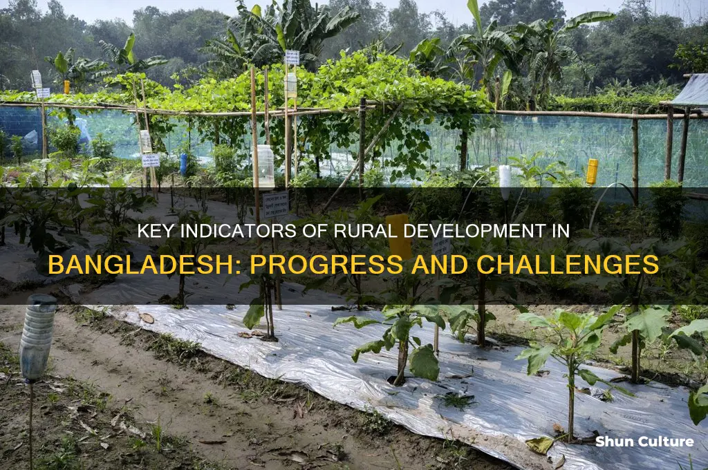 what are the indicators of rural development in bangladesh