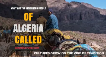 Discovering Algeria's Indigenous Identity: The Berbers' Rich Heritage and Culture