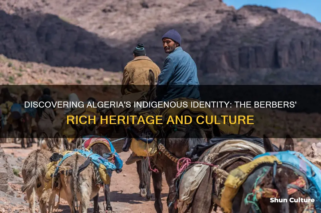 what are the indigenous people of algeria called