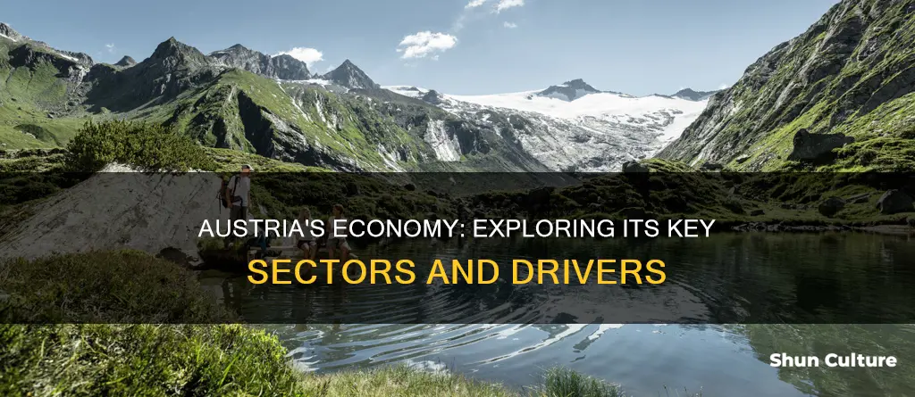 what are the key sectors of the austrian economy