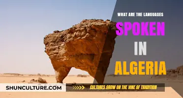 Exploring Algeria's Linguistic Diversity: Languages Spoken Across the Nation