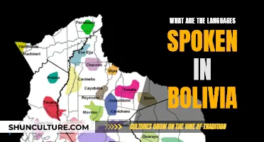 Exploring the Diverse Languages of Bolivia