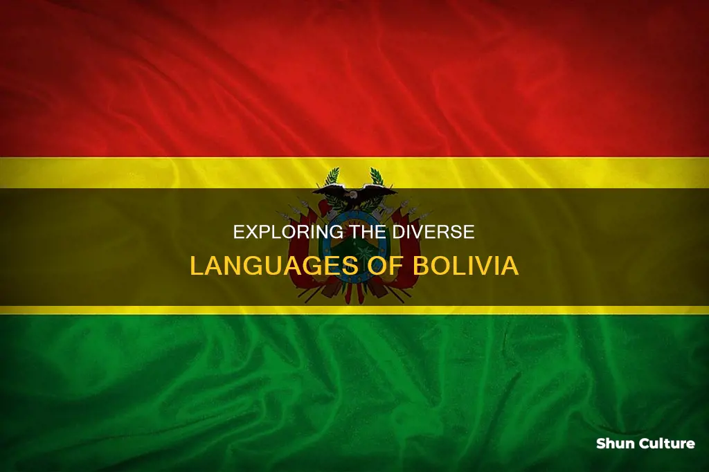 what are the languages spoken in bolivia