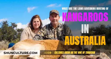 Hunting Kangaroos: Australian Laws and Regulations