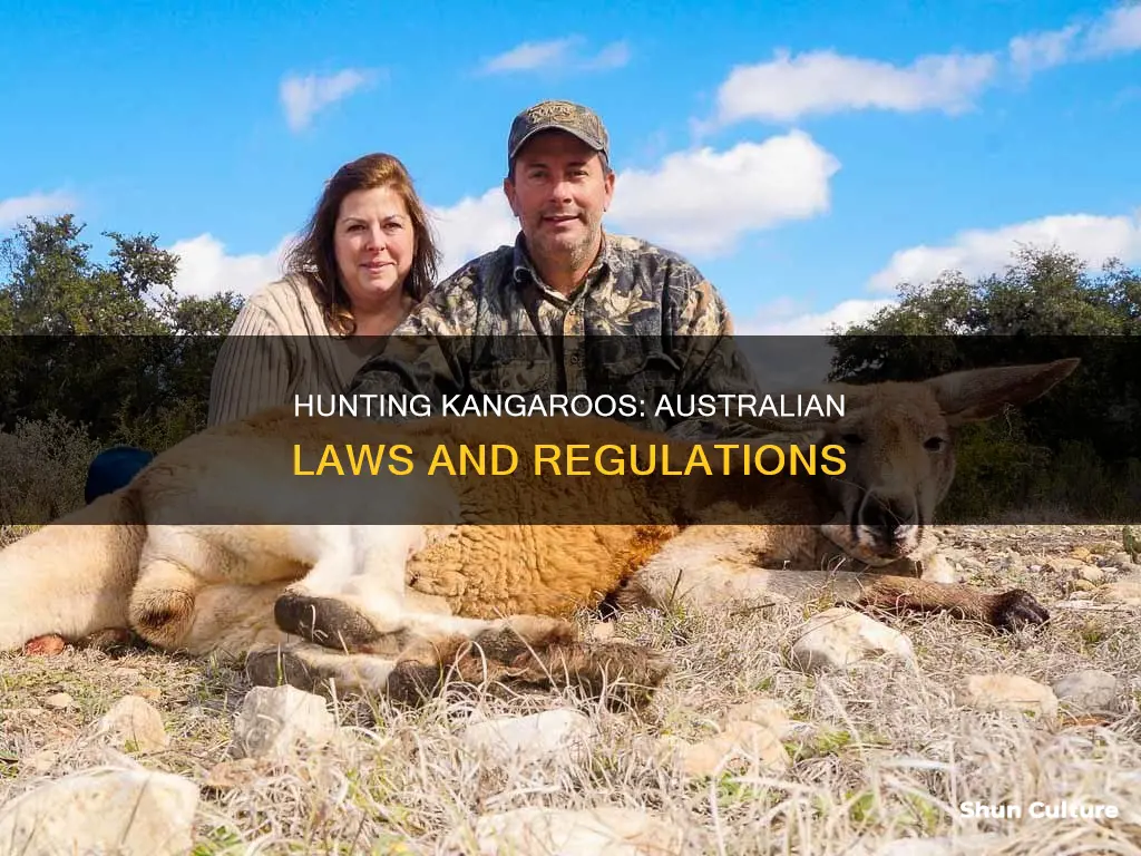 what are the laws governing hunting of kangaroos in australia