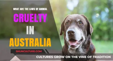 Animal Cruelty Laws in Australia: What You Need to Know