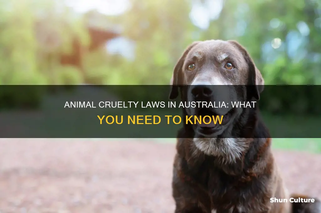 what are the laws of animal cruelty in australia