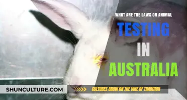 Animal Testing Laws in Australia: What's the Verdict?