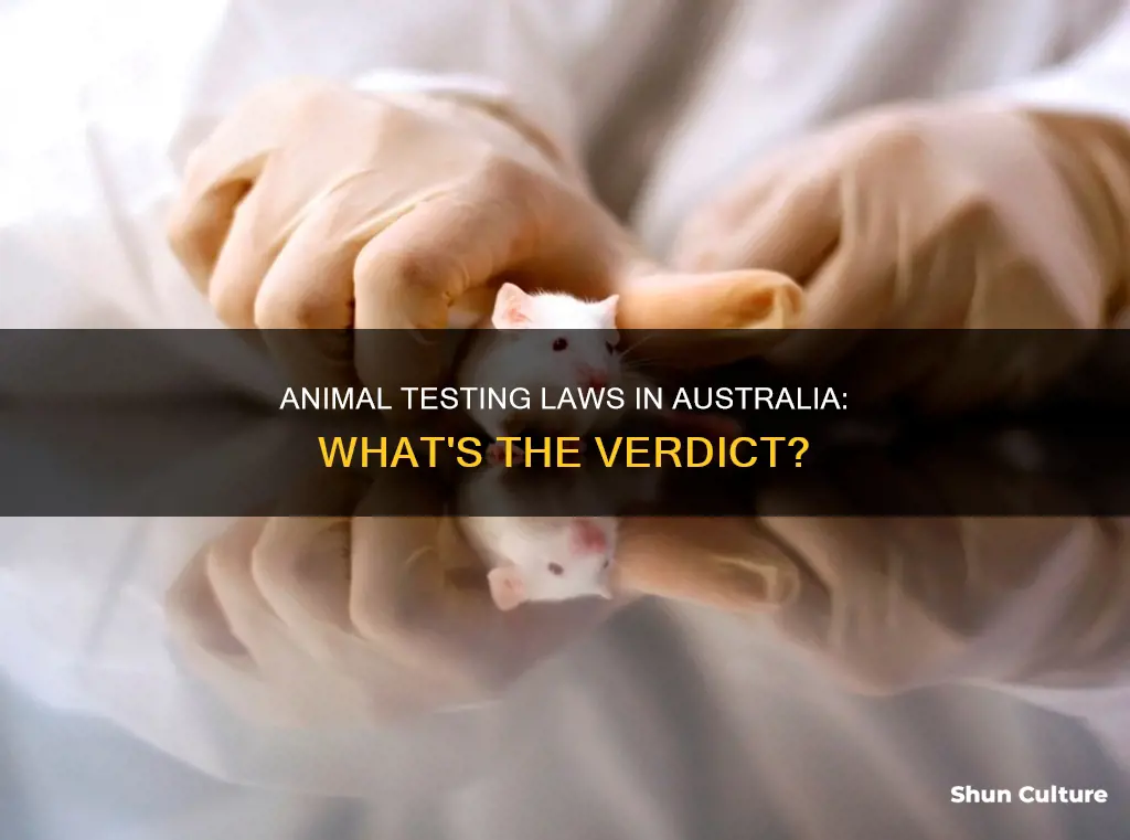 what are the laws on animal testing in australia