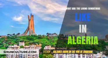 Exploring Algeria's Living Conditions: Housing, Economy, and Daily Life