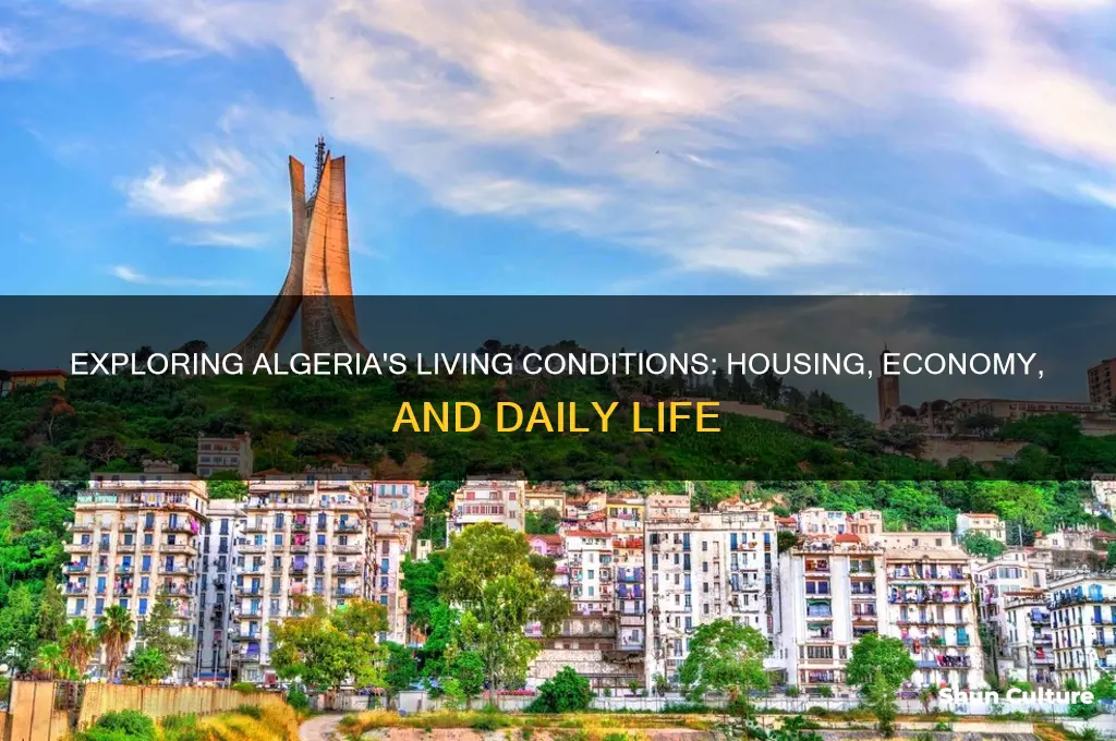 what are the living conditions like in algeria