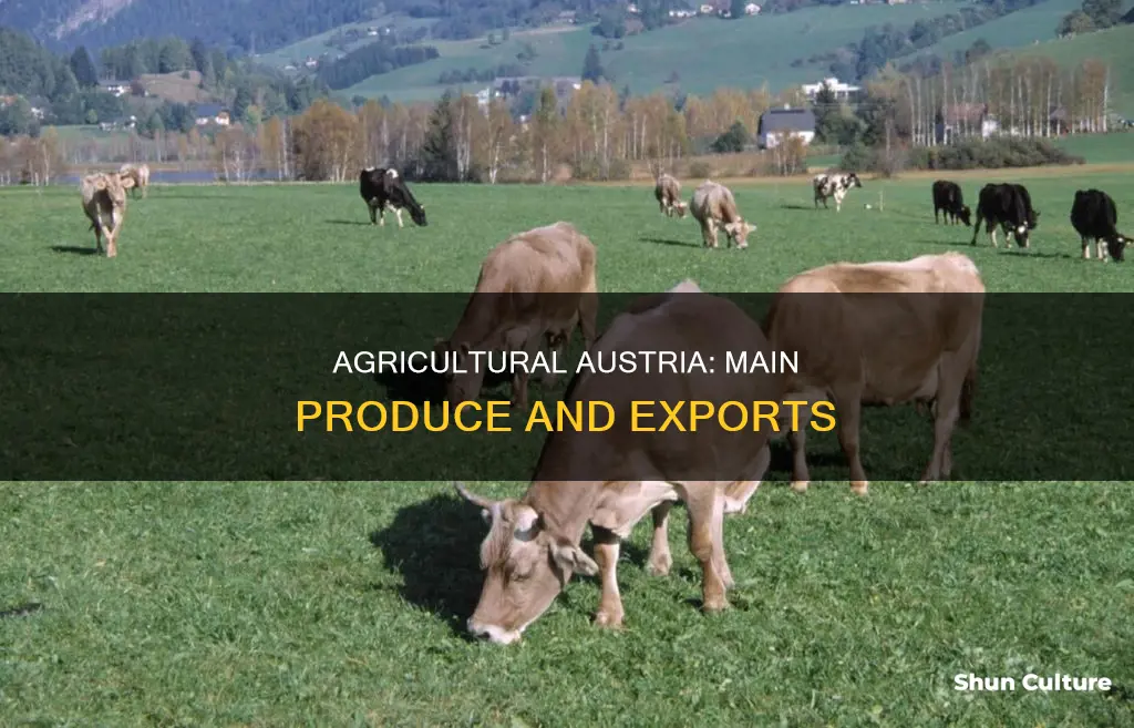 what are the main agricultural produtcs in austria