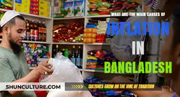 Understanding Bangladesh's Inflation: Key Drivers and Economic Implications