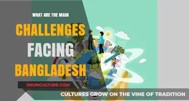 Bangladesh's Struggles: Key Challenges Hindering Progress and Development