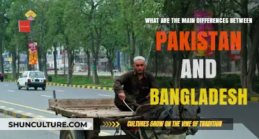 Pakistan vs. Bangladesh: Key Cultural, Historical, and Economic Differences Explored