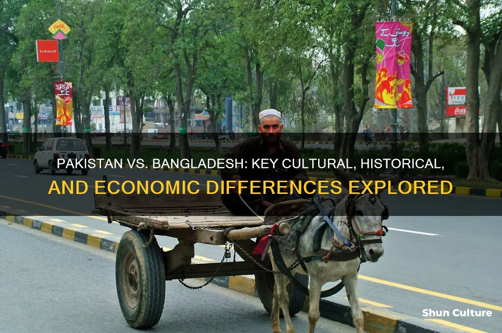 what are the main differences between pakistan and bangladesh