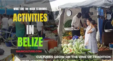 Belize's Economic Engine: Exploring the Country's Key Industries