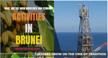 Industries and Economic Activities: Brunei's Key Sectors