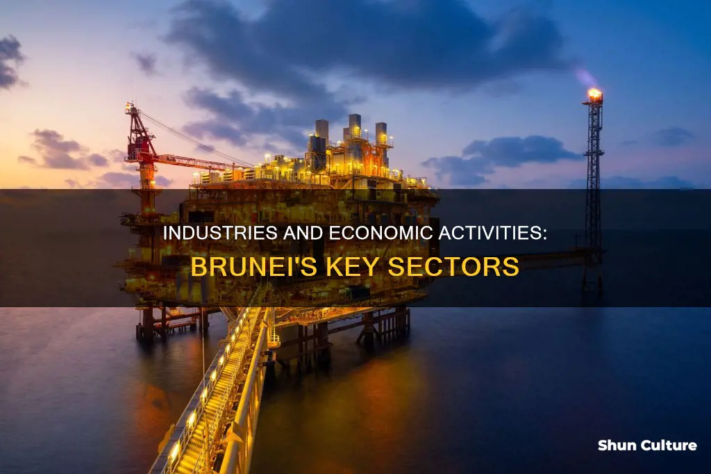 what are the main industries and economic activities in brunei