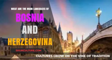 Bosnia and Herzegovina's Linguistic Diversity: Exploring Its Main Languages