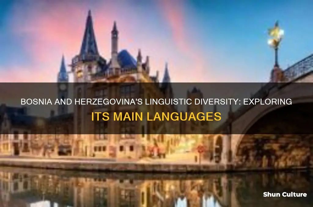 what are the main languages of bosnia and herzegovina