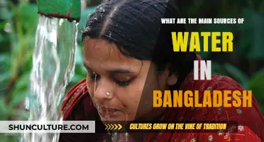 Exploring Bangladesh's Primary Water Sources: Rivers, Rainfall, and Groundwater