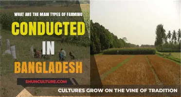 Exploring Bangladesh's Diverse Agricultural Practices: Key Farming Types Revealed
