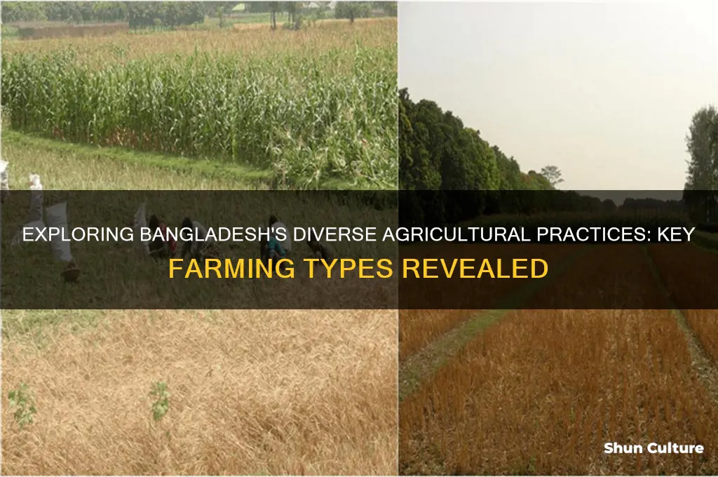 what are the main types of farming conducted in bangladesh