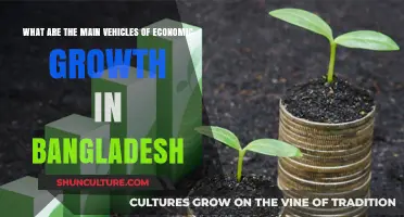 Driving Bangladesh's Economy: Key Vehicles for Sustained Growth and Development