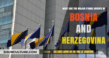 Exploring Bosnia and Herzegovina's Rich Cultural Mosaic: Key Ethnic Groups