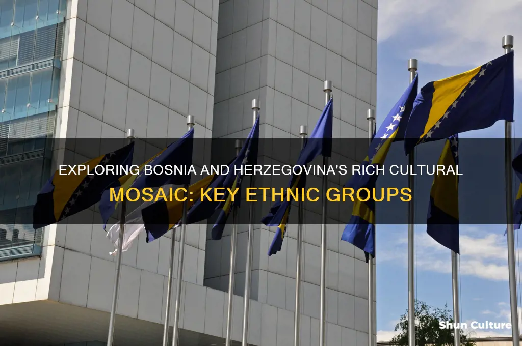 what are the major ethnic groups in bosnia and herzegovina