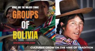 Exploring Bolivia's Diverse Ethnic Fabric