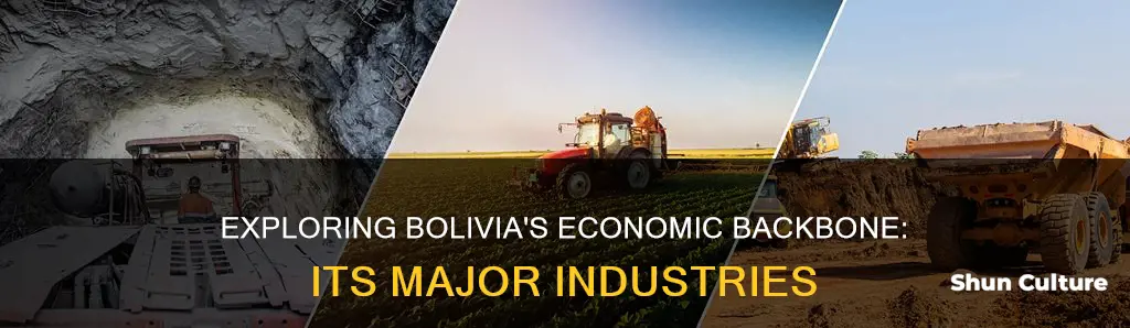 what are the major industries in bolivia