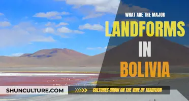 Bolivia's Unique Landforms: A Natural Wonder