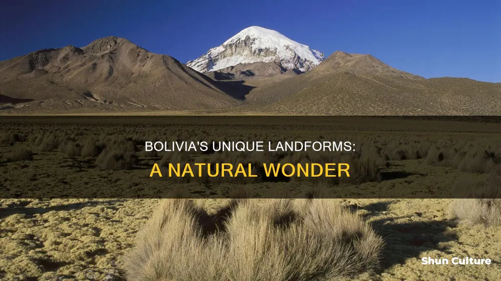 what are the major landforms in bolivia