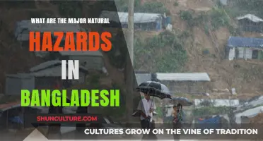 Bangladesh's Natural Hazards: Understanding the Major Threats and Risks